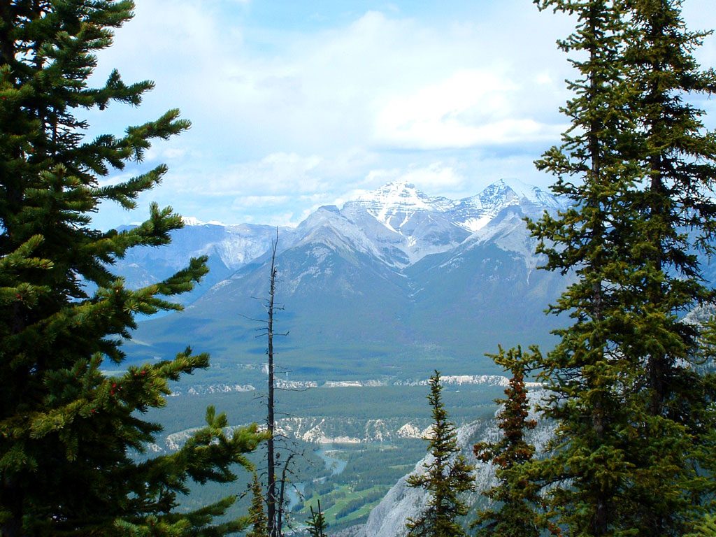 image-alberta-2