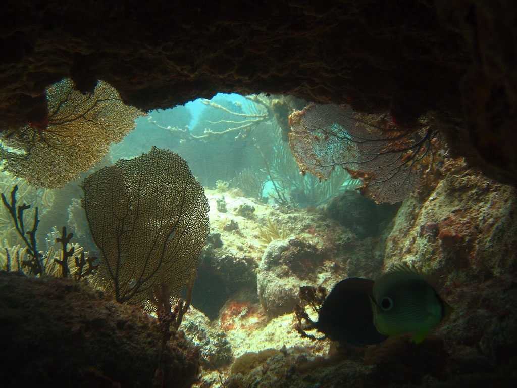 image-anguilla-26