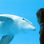 My daughter at Havana City Aquarium, Cuba
