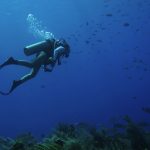 Scuba Diving in Sea Fan Reef, West End Grand Cayman