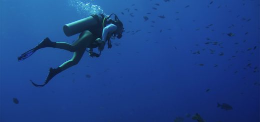 Scuba Diving in Sea Fan Reef, West End Grand Cayman