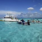 Stingray City, Grand Cayman