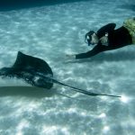 Stingray City, Grand Cayman