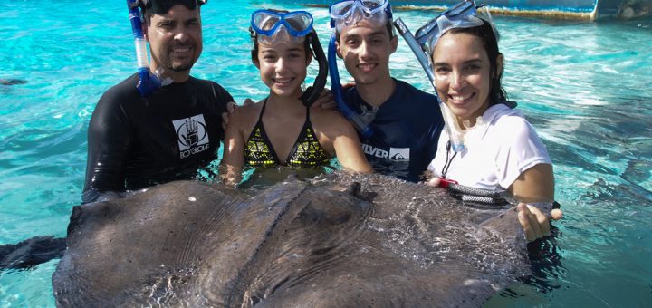 Stingray City, Grand Cayman