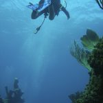 Kathleen Reef