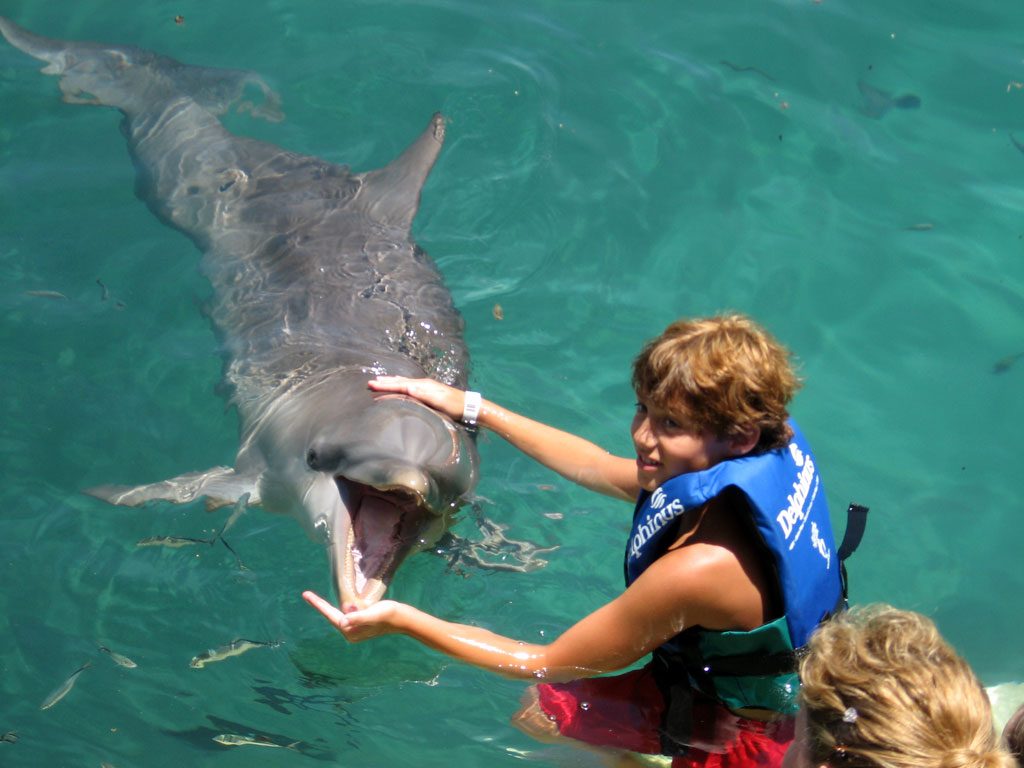 Playing with dolphins at Xcaret Park