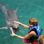 Playing with dolphins at Xcaret Park