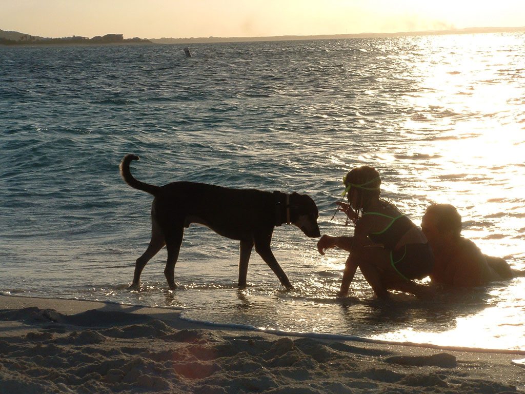 image-turksandcaicos-13