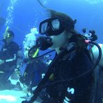 Shark Diving with Stuart Cove