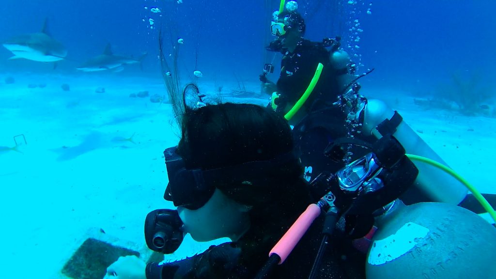 Shark Diving with Stuart Cove