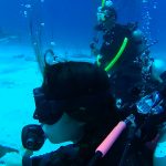 Shark Diving with Stuart Cove
