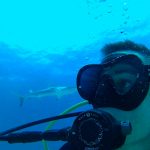 Shark Diving with Stuart Cove