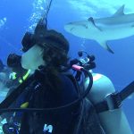 Shark Diving with Stuart Cove