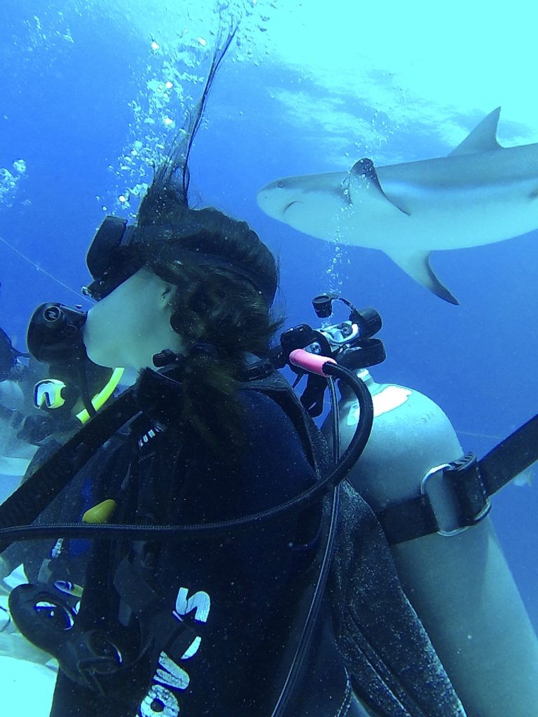 Shark Diving with Stuart Cove