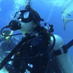 Shark Diving with Stuart Cove