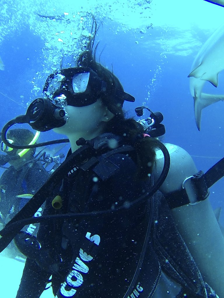 Shark Diving with Stuart Cove