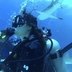 Shark Diving with Stuart Cove