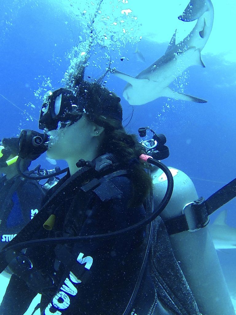Shark Diving with Stuart Cove