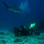 Scuba diving in Sint Maarten
