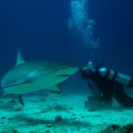 Scuba diving in Sint Maarten