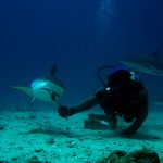 Scuba diving in Sint Maarten