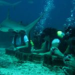 Scuba diving in Sint Maarten
